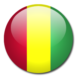 GuineaU20